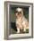 Shih Tzu Puppy Sitting on Grass-Adriano Bacchella-Framed Photographic Print