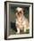 Shih Tzu Puppy Sitting on Grass-Adriano Bacchella-Framed Photographic Print