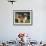Shih Tzu Puppy Standing on Grass-Adriano Bacchella-Framed Photographic Print displayed on a wall