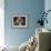 Shih Tzu with Blue Bow-Jai Johnson-Framed Giclee Print displayed on a wall