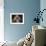 Shih Tzu with Blue Bow-Jai Johnson-Framed Giclee Print displayed on a wall