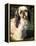 Shih Tzu with Facial Hair Cut Short-Adriano Bacchella-Framed Premier Image Canvas