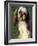 Shih Tzu with Facial Hair Cut Short-Adriano Bacchella-Framed Photographic Print