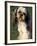 Shih Tzu with Facial Hair Cut Short-Adriano Bacchella-Framed Photographic Print