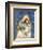 Shih Tzu-John Golden-Framed Art Print