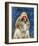 Shih Tzu-John Golden-Framed Art Print