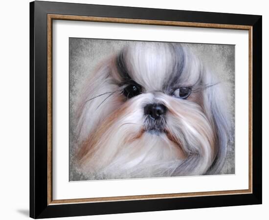 Shihtzu Portrait-Jai Johnson-Framed Giclee Print