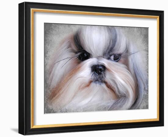 Shihtzu Portrait-Jai Johnson-Framed Giclee Print