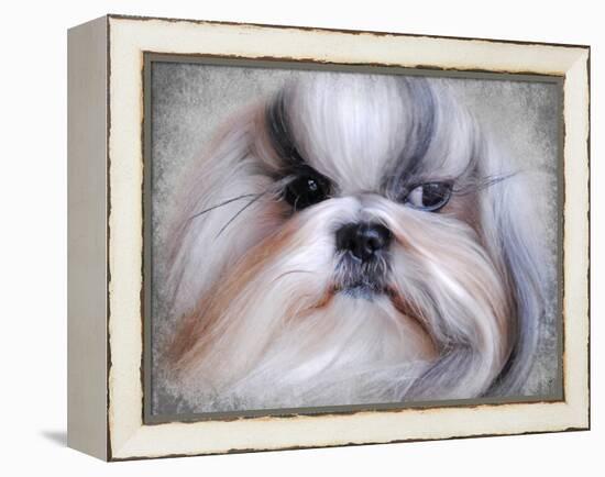 Shihtzu Portrait-Jai Johnson-Framed Premier Image Canvas