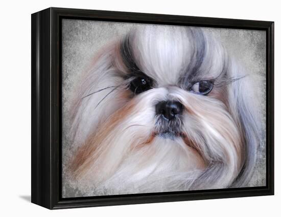 Shihtzu Portrait-Jai Johnson-Framed Premier Image Canvas