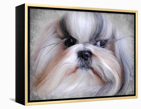 Shihtzu Portrait-Jai Johnson-Framed Premier Image Canvas