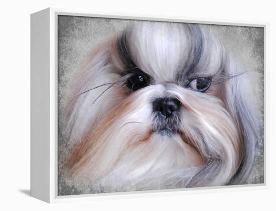 Shihtzu Portrait-Jai Johnson-Framed Premier Image Canvas