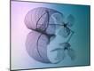Premium Photographic Print