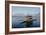 Shikara (Traditional Wooden Boat) on Dal Lake, Srinagar, Kashmir, India-Vivienne Sharp-Framed Photographic Print