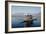 Shikara (Traditional Wooden Boat) on Dal Lake, Srinagar, Kashmir, India-Vivienne Sharp-Framed Photographic Print