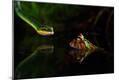 Photographic Print