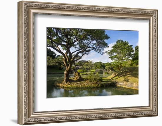 Shikinaen Garden (Shikina-en Garden), UNESCO World Heritage Site, Naha, Okinawa, Japan, Asia-Michael Runkel-Framed Photographic Print