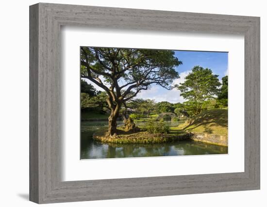 Shikinaen Garden (Shikina-en Garden), UNESCO World Heritage Site, Naha, Okinawa, Japan, Asia-Michael Runkel-Framed Photographic Print