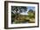 Shikinaen Garden (Shikina-en Garden), UNESCO World Heritage Site, Naha, Okinawa, Japan, Asia-Michael Runkel-Framed Photographic Print