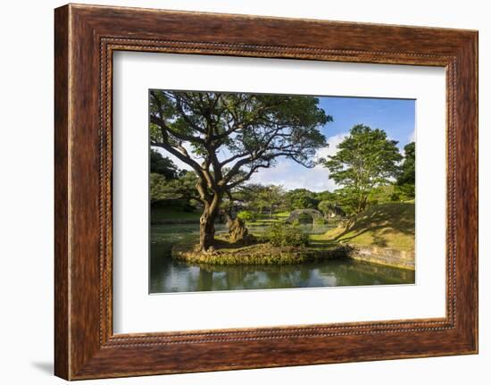 Shikinaen Garden (Shikina-en Garden), UNESCO World Heritage Site, Naha, Okinawa, Japan, Asia-Michael Runkel-Framed Photographic Print