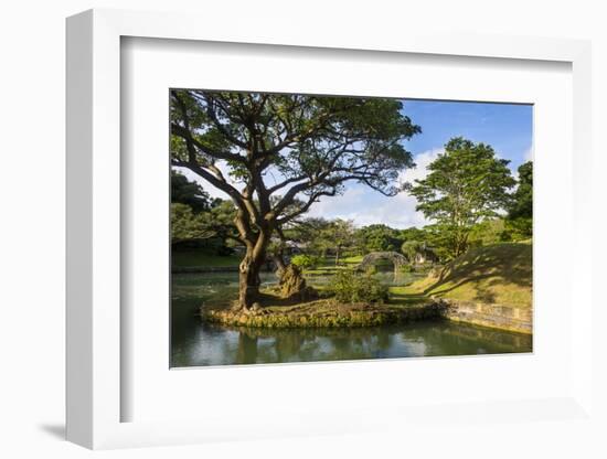 Shikinaen Garden (Shikina-en Garden), UNESCO World Heritage Site, Naha, Okinawa, Japan, Asia-Michael Runkel-Framed Photographic Print