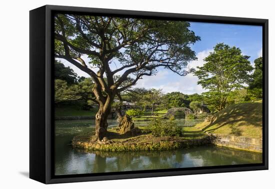 Shikinaen Garden (Shikina-en Garden), UNESCO World Heritage Site, Naha, Okinawa, Japan, Asia-Michael Runkel-Framed Premier Image Canvas