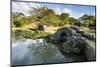 Shikinaen Garden (Shikina-en Garden), UNESCO World Heritage Site, Naha, Okinawa, Japan, Asia-Michael Runkel-Mounted Photographic Print