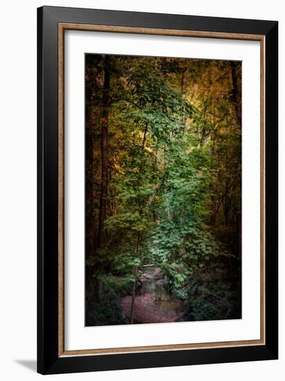 Shiloh Stream 1-Jai Johnson-Framed Giclee Print