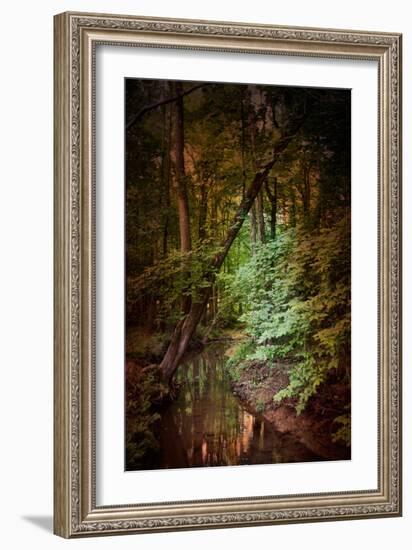 Shiloh Stream 2-Jai Johnson-Framed Giclee Print