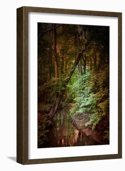 Shiloh Stream 2-Jai Johnson-Framed Giclee Print