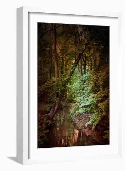 Shiloh Stream 2-Jai Johnson-Framed Giclee Print