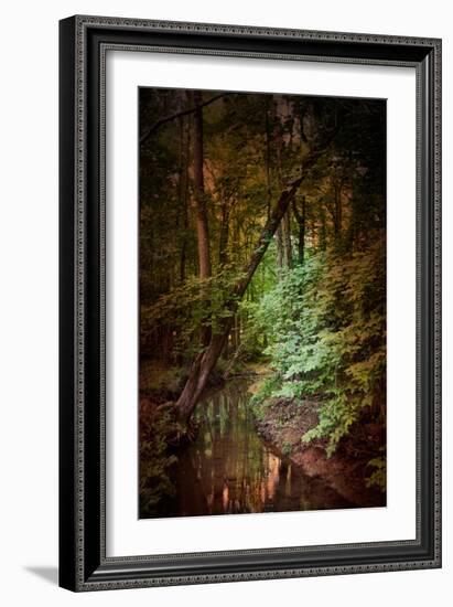 Shiloh Stream 2-Jai Johnson-Framed Giclee Print