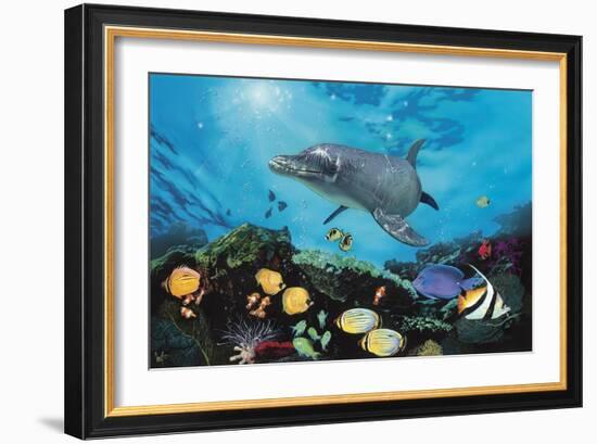 Shimmer Bay-Scott Westmoreland-Framed Art Print