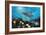 Shimmer Bay-Scott Westmoreland-Framed Premium Giclee Print