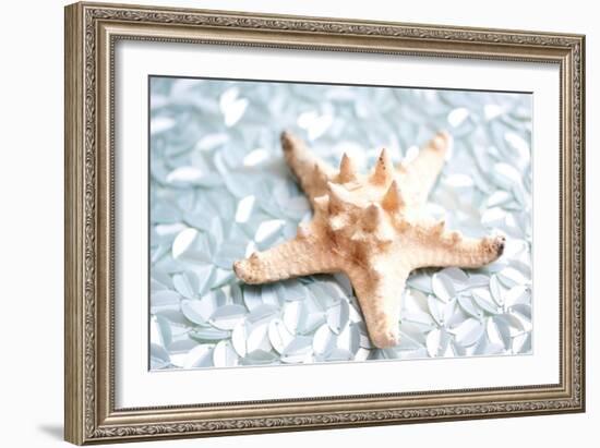 Shimmer Shells II-Susan Bryant-Framed Art Print