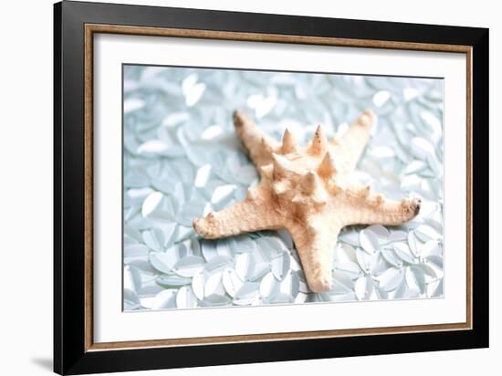 Shimmer Shells II-Susan Bryant-Framed Art Print