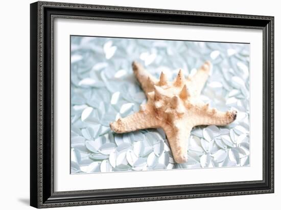 Shimmer Shells II-Susan Bryant-Framed Art Print