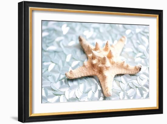 Shimmer Shells II-Susan Bryant-Framed Art Print