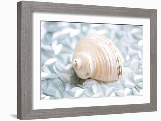 Shimmer Shells IV-Susan Bryant-Framed Art Print