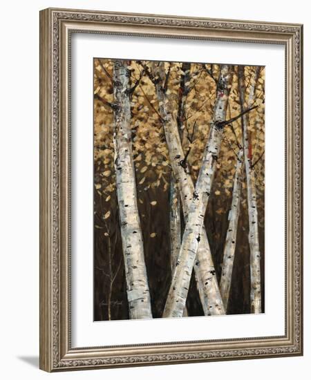 Shimmering Birches 1-Arnie Fisk-Framed Art Print