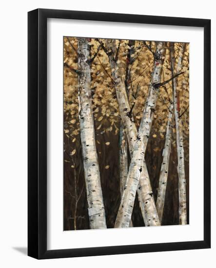 Shimmering Birches 1-Arnie Fisk-Framed Art Print