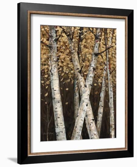 Shimmering Birches 1-Arnie Fisk-Framed Art Print