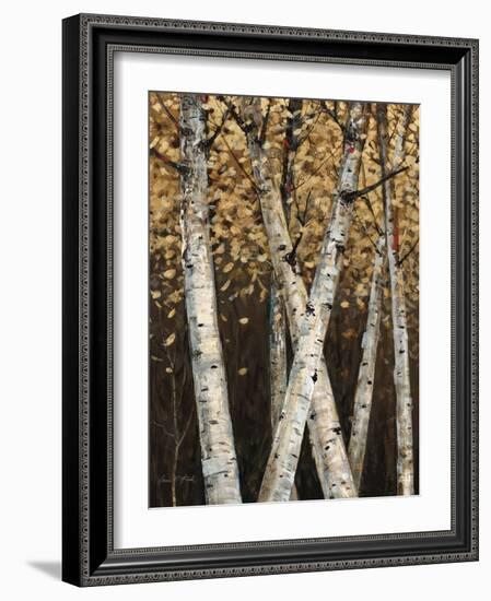 Shimmering Birches 1-Arnie Fisk-Framed Art Print