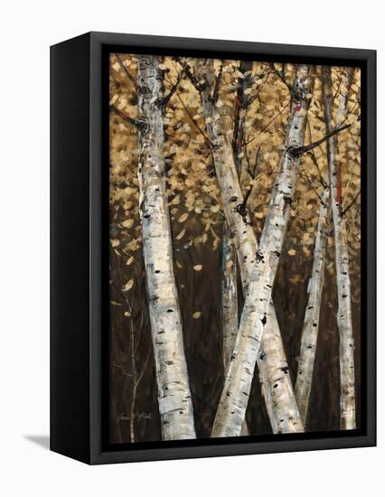 Shimmering Birches 1-Arnie Fisk-Framed Stretched Canvas