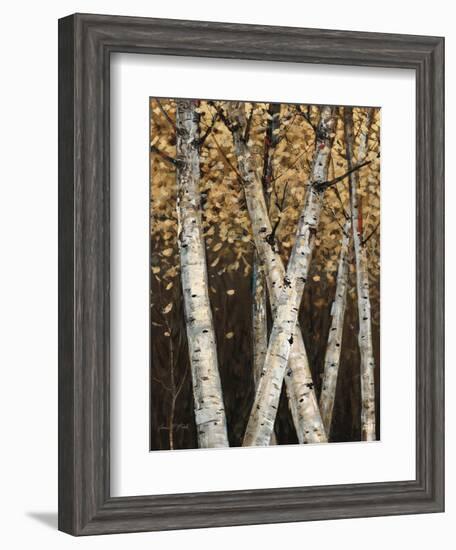 Shimmering Birches 1-Arnie Fisk-Framed Art Print