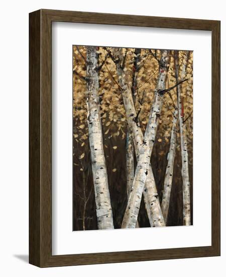 Shimmering Birches 1-Arnie Fisk-Framed Art Print