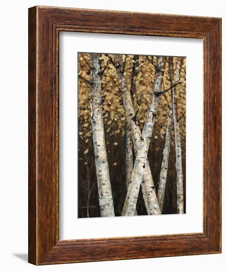 Shimmering Birches 1-Arnie Fisk-Framed Art Print