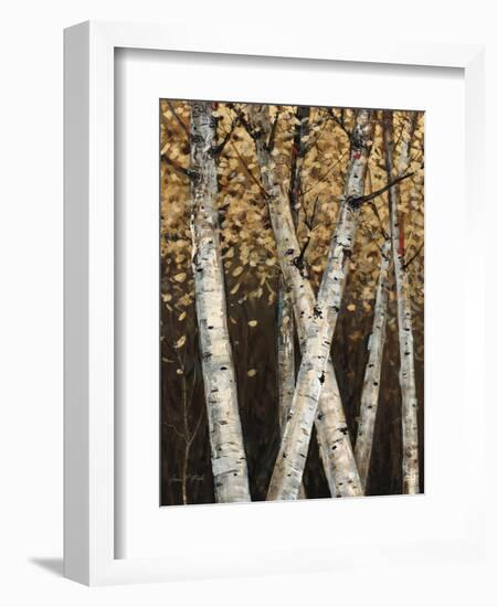 Shimmering Birches 1-Arnie Fisk-Framed Art Print