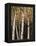 Shimmering Birches 2-Arnie Fisk-Framed Stretched Canvas