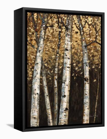 Shimmering Birches 2-Arnie Fisk-Framed Stretched Canvas